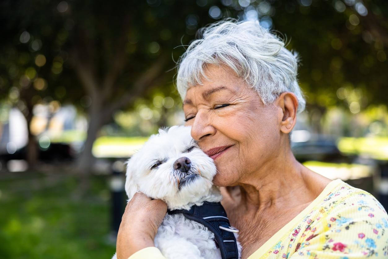 Can I Include My Pets in My Estate Plan?