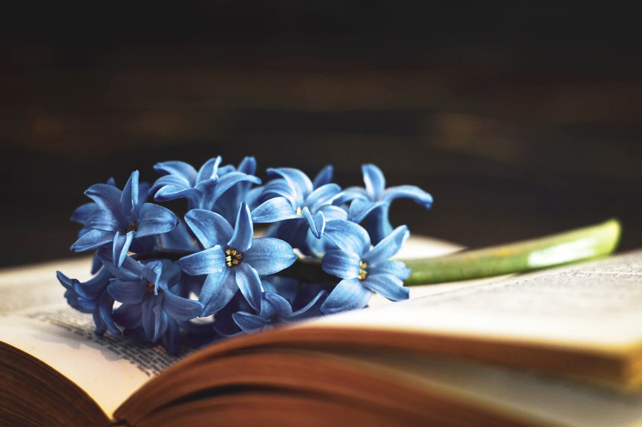 Estate Documents You Should Update After the Death of a Spouse